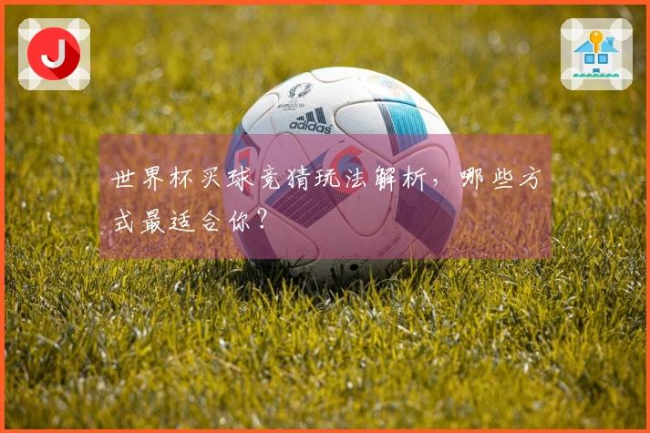 世界杯买球竞猜玩法解析，哪些方式最适合你？