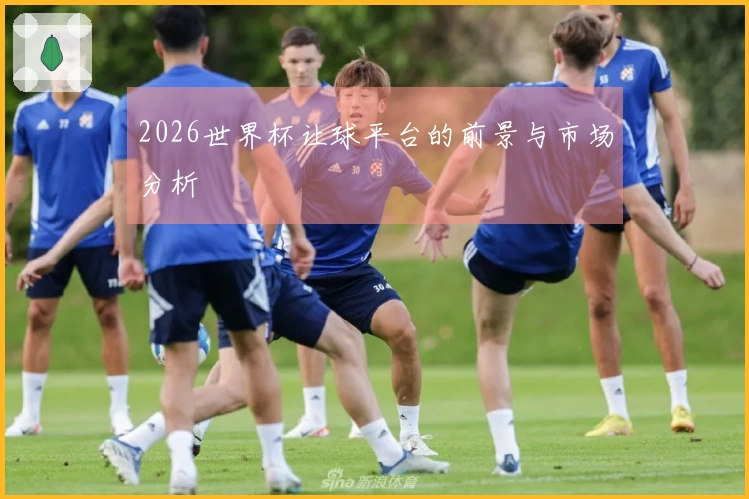 2026世界杯让球平台的前景与市场分析