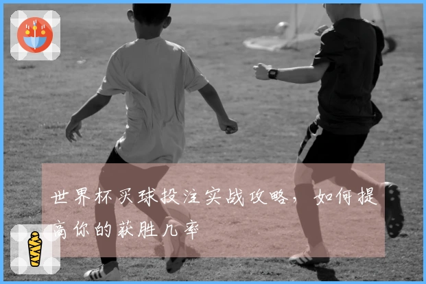 世界杯买球投注实战攻略，如何提高你的获胜几率