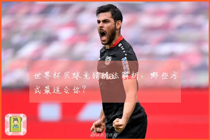 世界杯买球竞猜玩法解析,哪些方式最适合你?