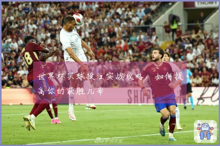 世界杯买球投注实战攻略，如何提高你的获胜几率