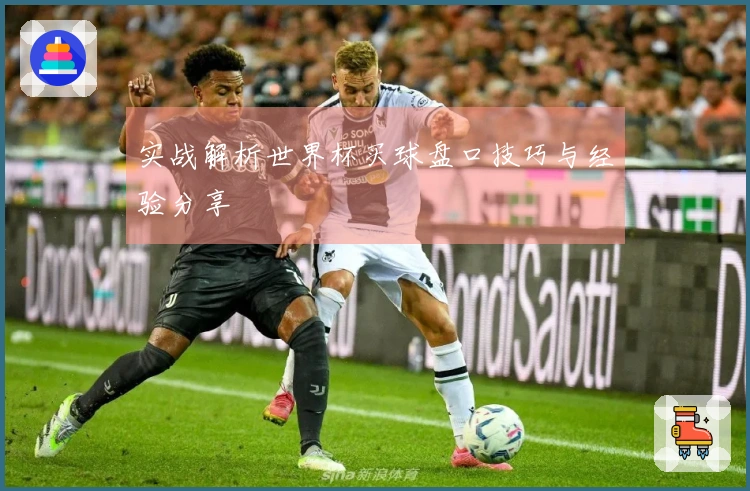 实战解析世界杯买球盘口技巧与经验分享