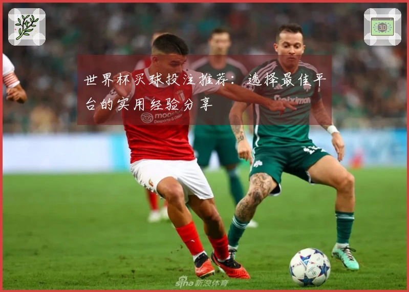 世界杯买球投注推荐：选择最佳平台的实用经验分享