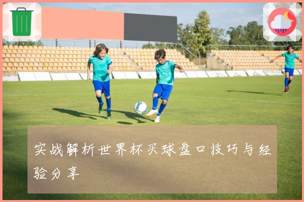 实战解析世界杯买球盘口技巧与经验分享