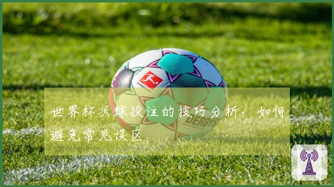 世界杯买球投注的技巧分析,如何避免常见误区